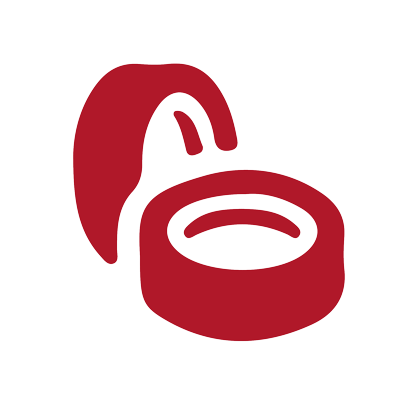 Icon 4