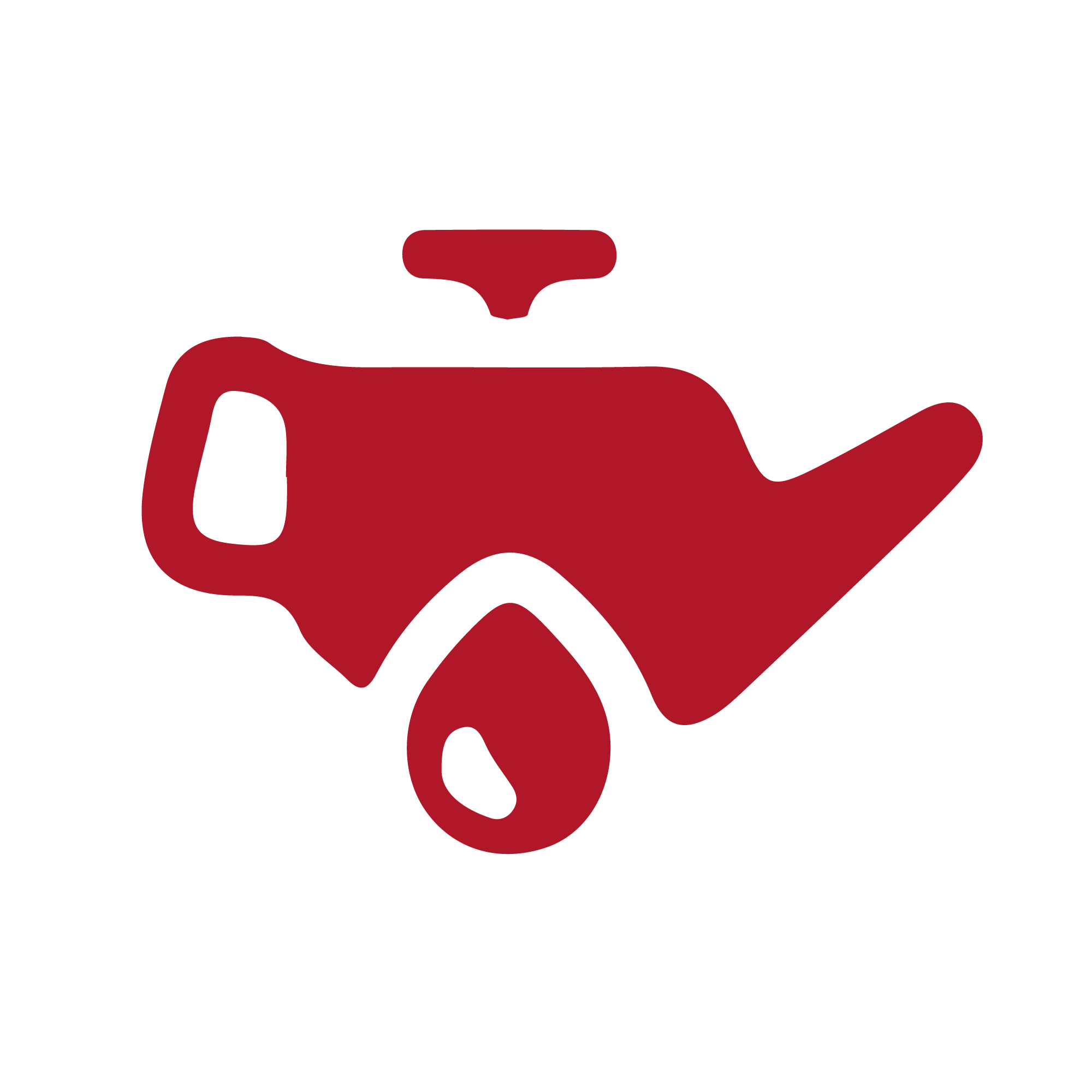 Icon 6